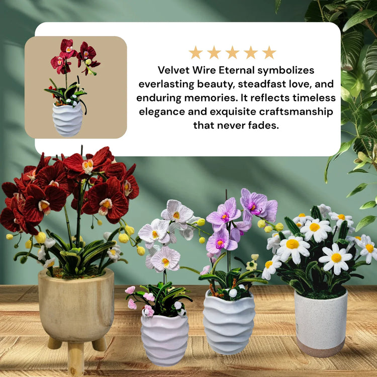 Timeless Potted